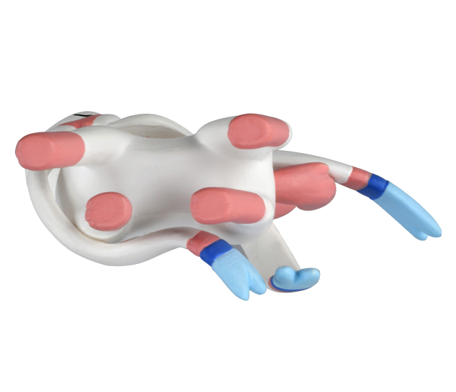 モンスターコレクション　MS-50 ニンフィア