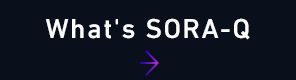 What's SORA-Q