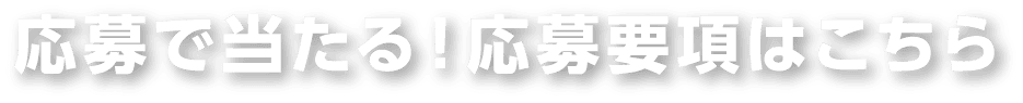 応募で当たる！応募要項はこちら