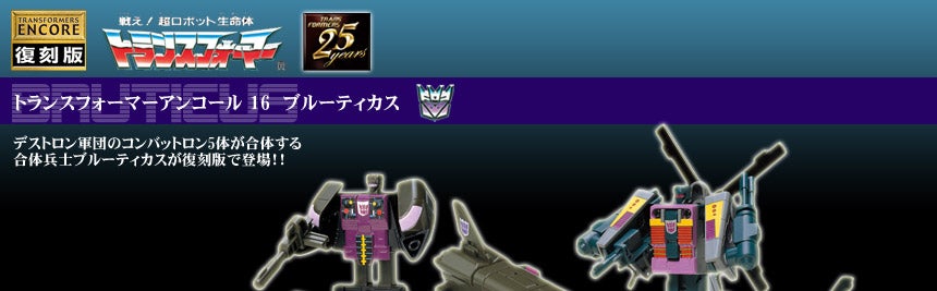 ^Jg~[̃gXtH[}[AR[16@u[eBJX摜