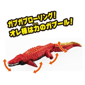 ガブール（イリエワニ）