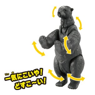 ヨコヅナ（ホッキョクグマ）