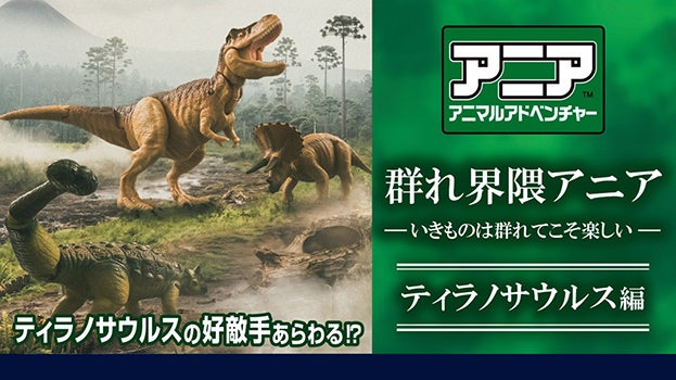 群れ界隈アニア