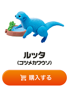 ルッタ（コツメカワウソ）