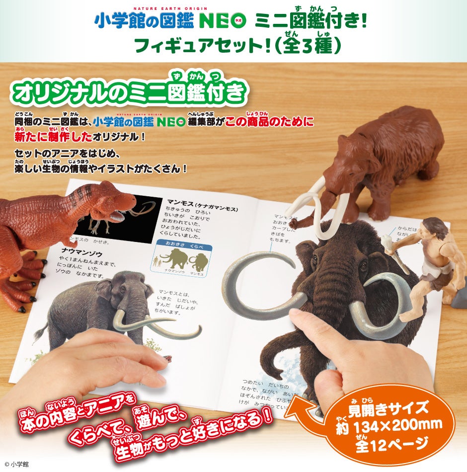アニア　小学館の図鑑NEO