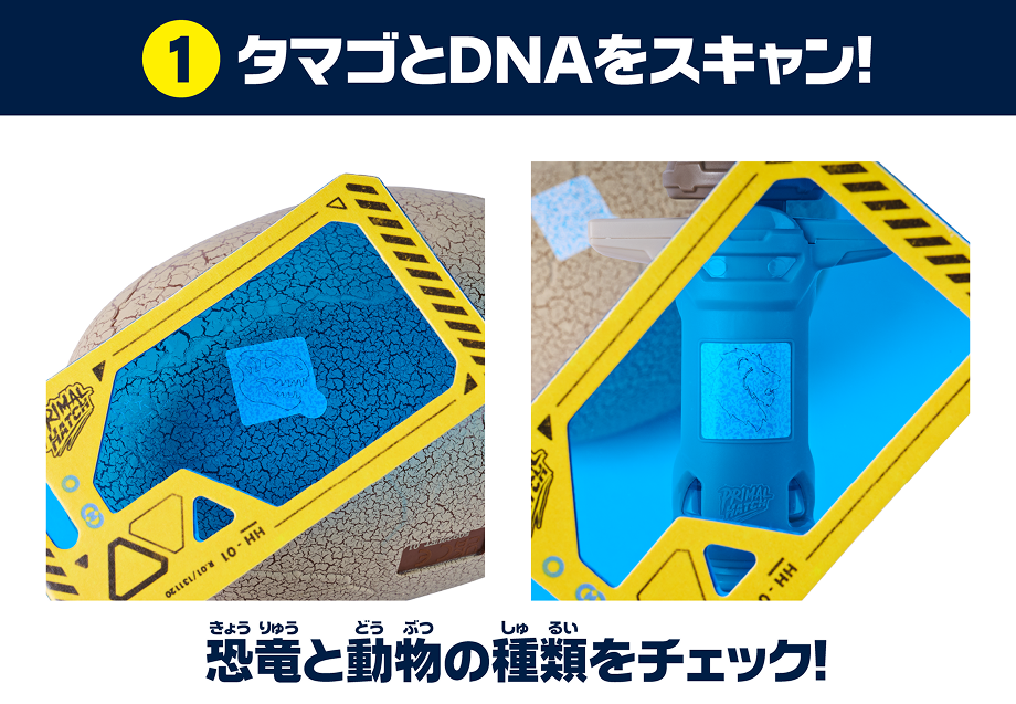 ①タマゴとDNAをスキャン恐竜と動物の種類をチェック！