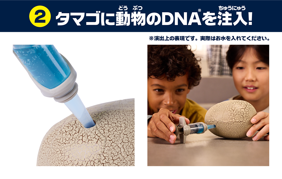 ②タマゴに動物のDNA※を注入！※演出上の表現です。実際はお水を入れてください。