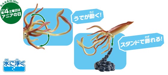 AL-33　ダイオウイカ（水に浮くVer.）