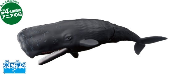 AL-34　マッコウクジラ（水に浮くVer.）