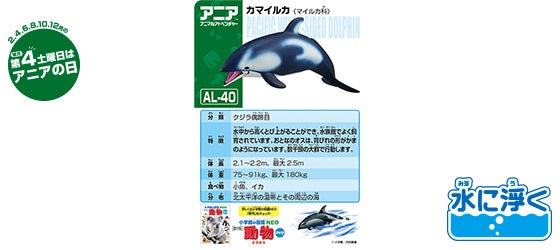 AL-40　カマイルカ（ダイバー付き）（水に浮くVer.）
