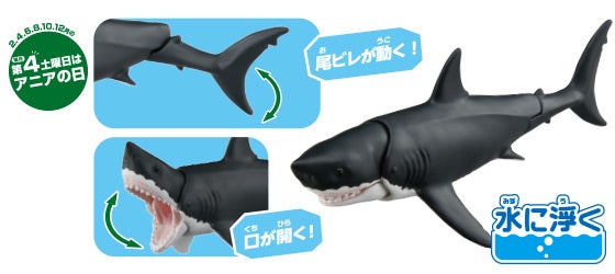 AL-13　ホホジロザメ（水に浮くVer.）
