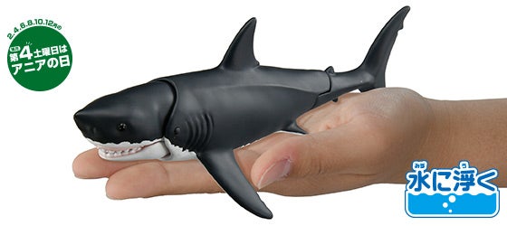 AL-13　ホホジロザメ（水に浮くVer.）