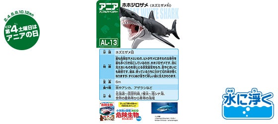 AL-13　ホホジロザメ（水に浮くVer.）