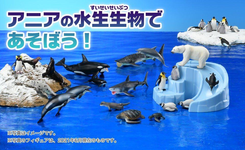 アニアの水生生物であそぼう! アニアには水生生物フィギュアがたくさんあるよ！　水生生物の世界を楽しもう！