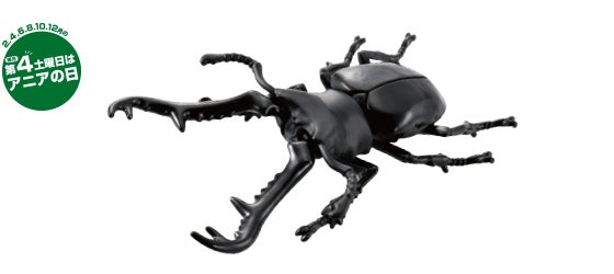 AL-38　ギラファノコギリクワガタ