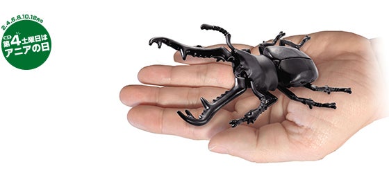 AL-38　ギラファノコギリクワガタ