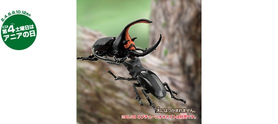 AL-38　ギラファノコギリクワガタ