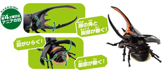 AL-39　ネプチューンオオカブト