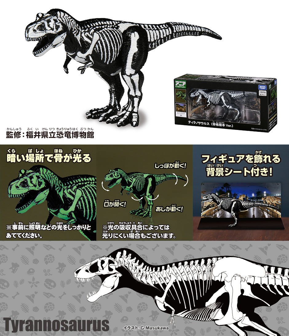 ティラノサウルス (骨格標本 Ver.)