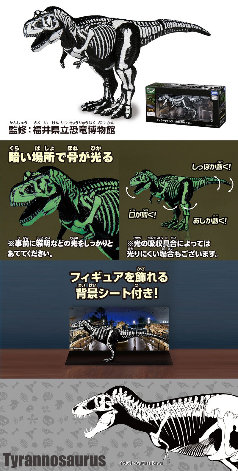 ティラノサウルス (骨格標本 Ver.)