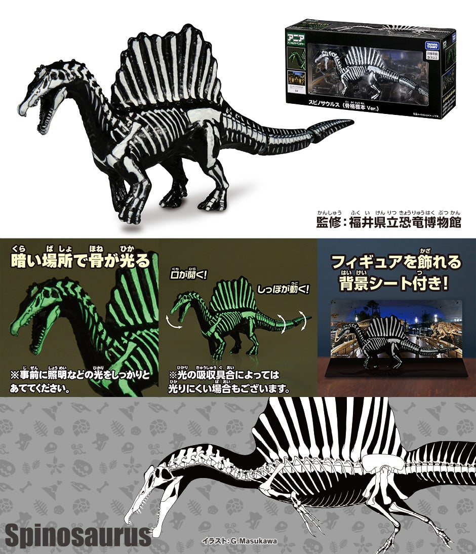 スピノサウルス (骨格標本 Ver.)