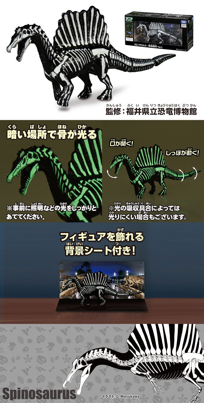 スピノサウルス (骨格標本 Ver.)