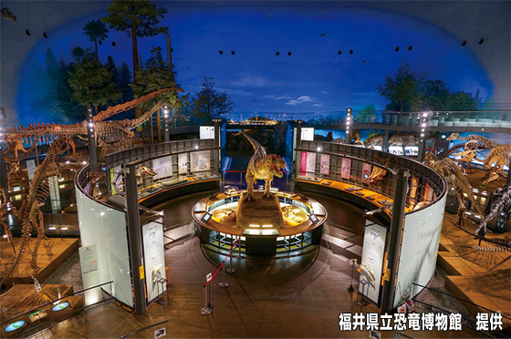 福井県立恐竜博物館 提供