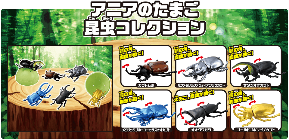 アニアのたまご　昆虫コレクション