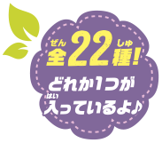 全22種！ どれか1つが入っているよ♪