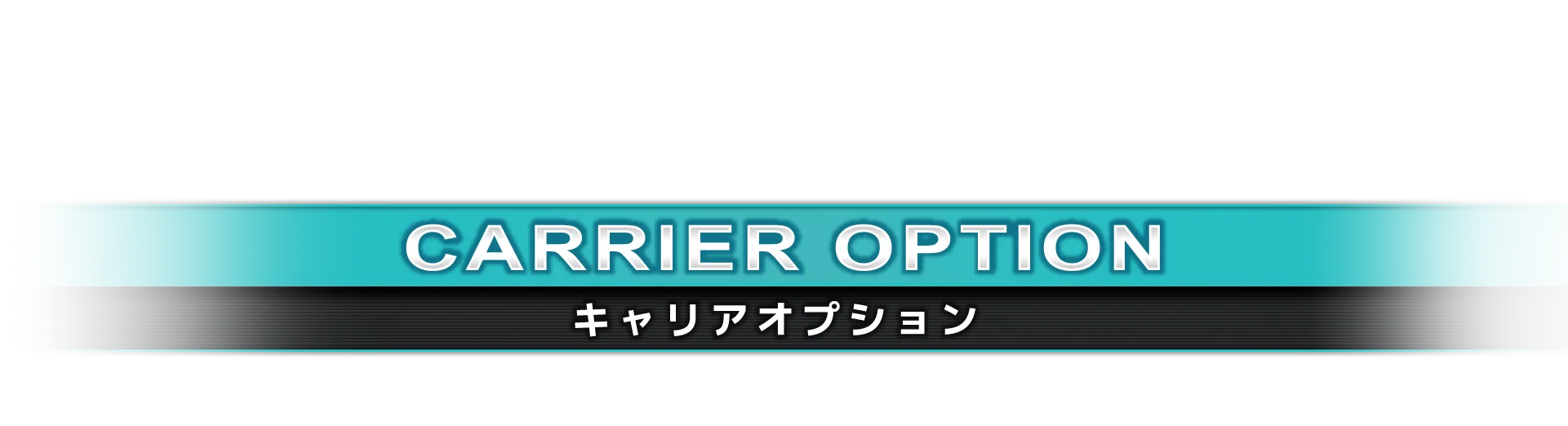 キャリアオプション