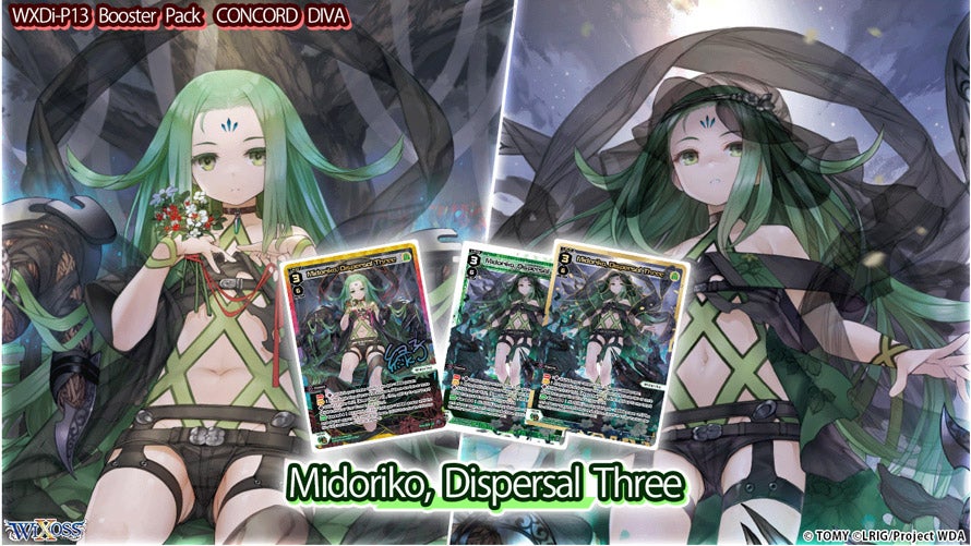 Introduction to the participating center LRIGs!