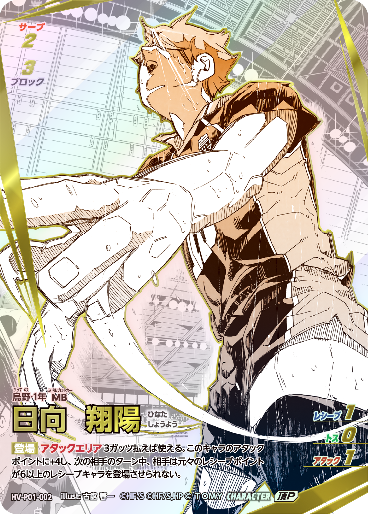 頂P　日向 翔陽(HV-P01-002)