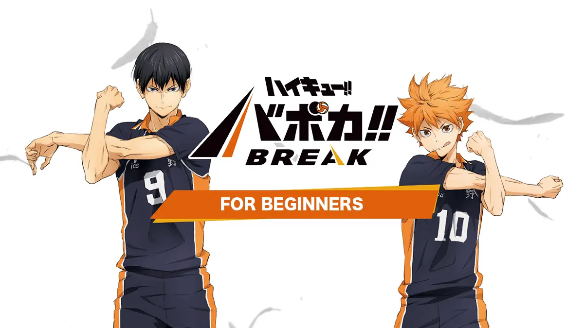 FOR BEGINNERS
