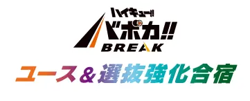 HV-P02 ハイキュー!! バボカ!! BREAK ブースターパック 最強の挑戦者