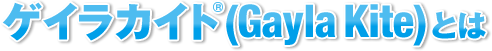 QCJCg®(Gayla Kite)Ƃ