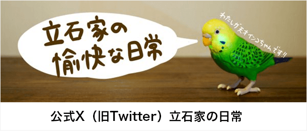 立石家の愉快な日常　インコちゃんTwitter更新中！