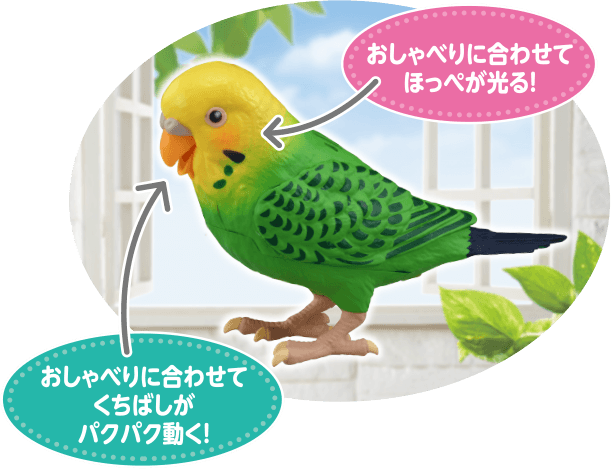 毎日おしゃべり 天才インコちゃん タカラトミー