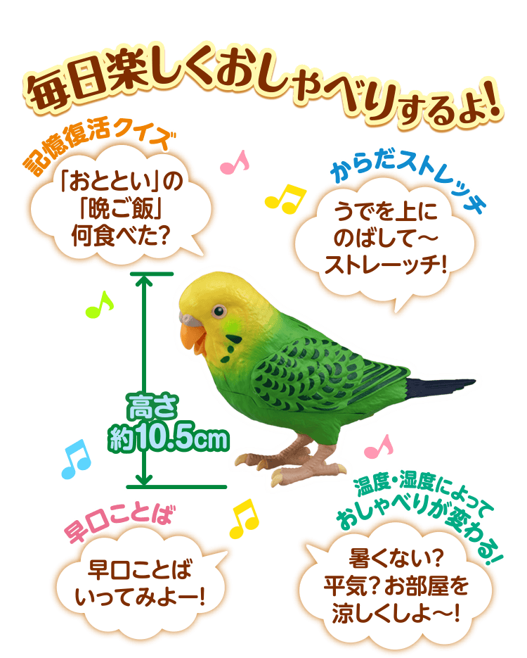 毎日おしゃべり 天才インコちゃん タカラトミー