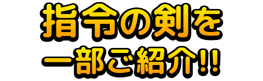 指令の剣を一部ご紹介!!