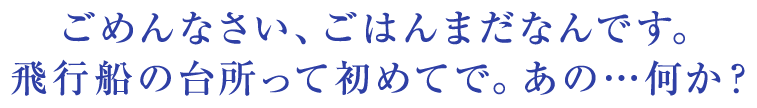 ごめんなさい、ごはんまだなんです。飛行船の台所って初めてで。あの…何か？