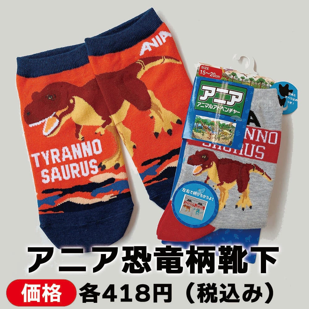 アニア恐竜柄靴下