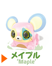 メイプル 'Maple'