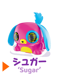 シュガー 'Sugar'