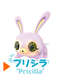 プリシラ 'Pricilla'