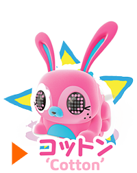 コットン 'Cotton'