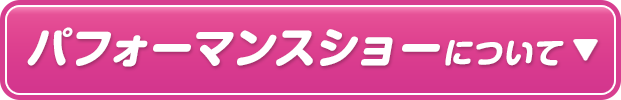 パフォーマンスショーについて