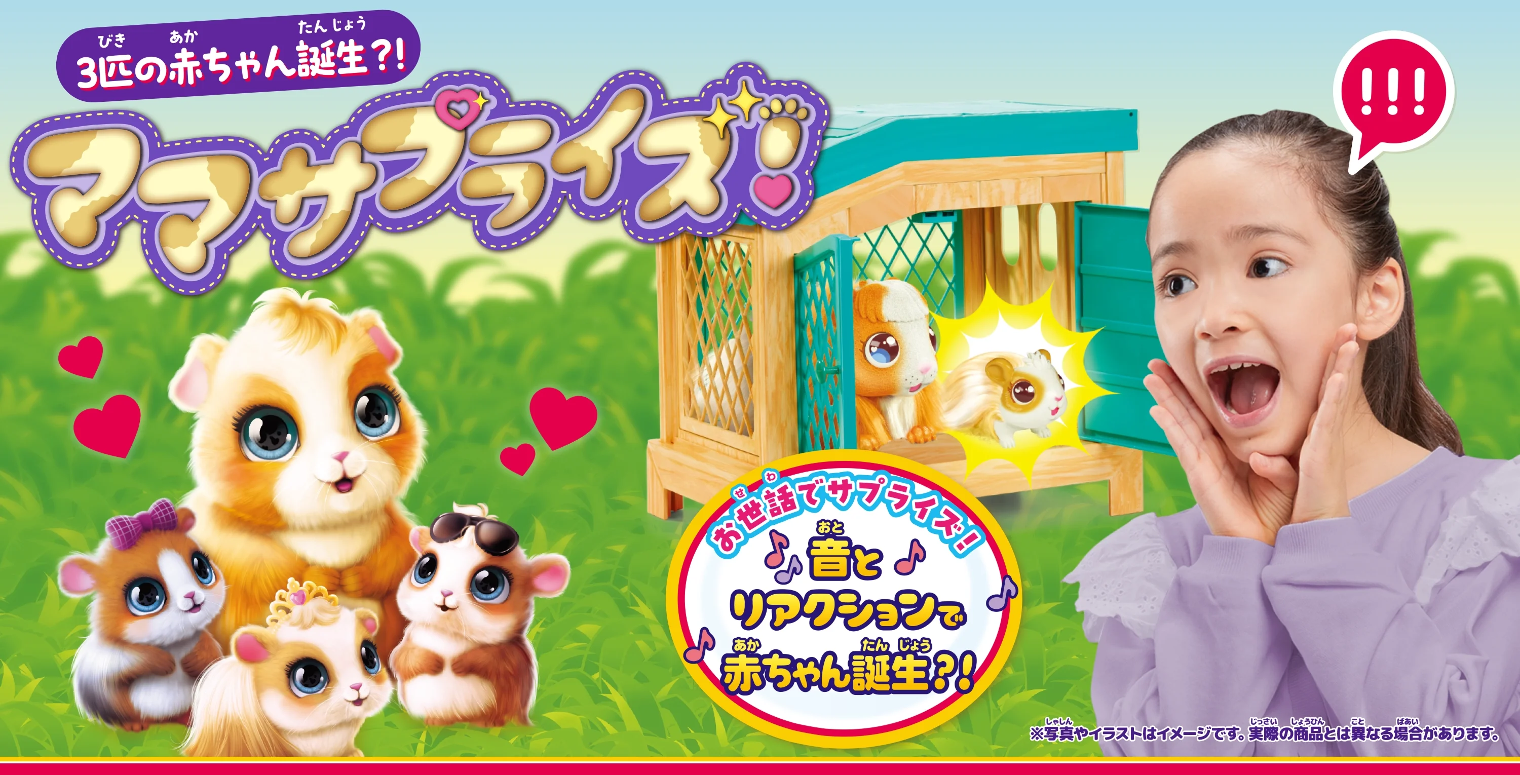 3匹の赤ちゃん誕生？！ママサプライズ！