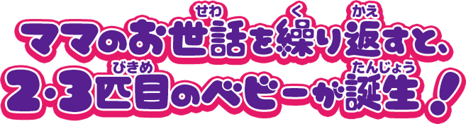 ママのお世話を繰り返すと、2・3匹目のベビーが誕生！
