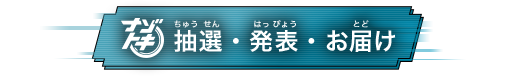抽選・発表・お届け