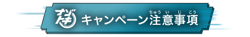 キャンペーン注意事項